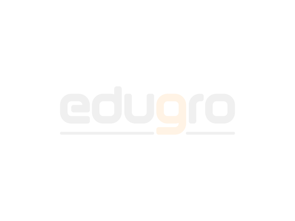 Montessori Mirror Shape Puzzle